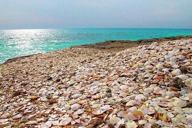 وضعیت مبهم هندورابى