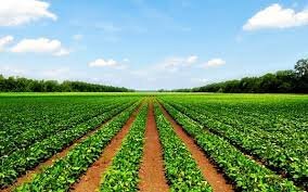 با انباش خشکسالی مواجه هستیم