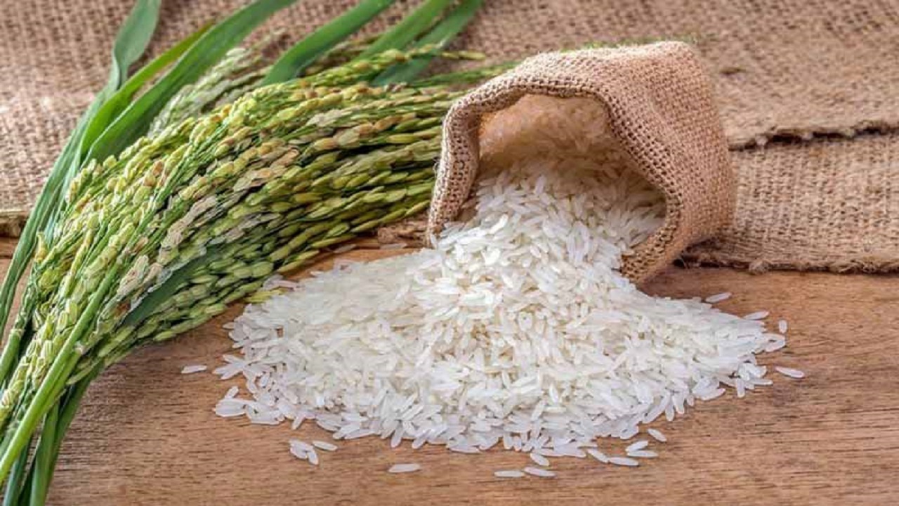 تبعیض ارزی و واردات برنج