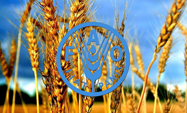 اجرای مدیریت پایدار منابع طبیعی در ایران