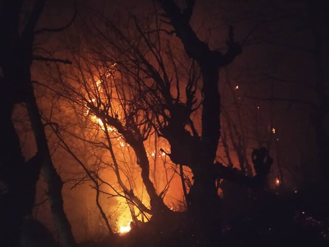 3هکتار از عرصه‌های جنگلی بهشهر در آتش