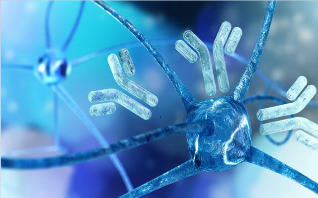 بهبود روند درمان سرطان با سیستم انتقال دارو و پادتن