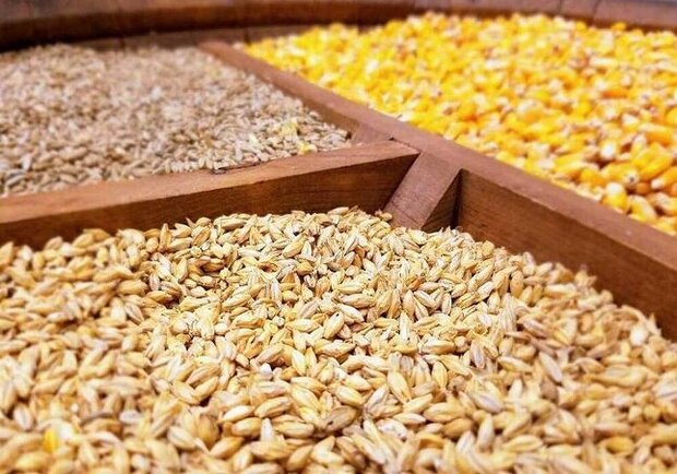 دردسرهای ابهام در یک بخشنامه