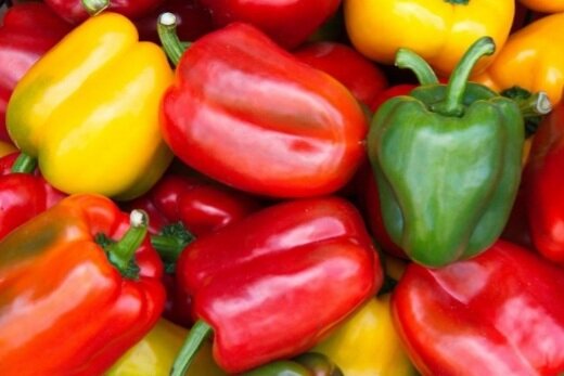 فلفل‌ دلمه‌ای‌های برگشت‌خورده سالم‌اند